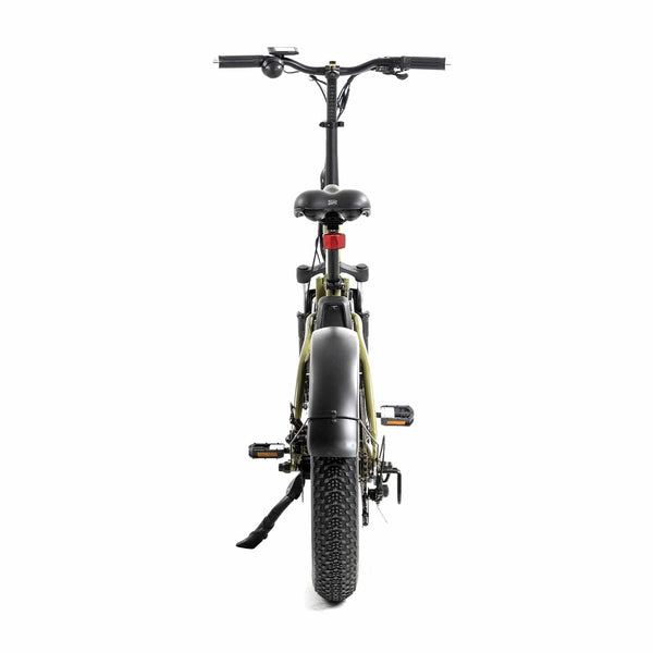 DWMEIGI Electric Fat Bike MG8710