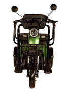 Vista frontal centrada del scooter eléctrico para dos personas Pushpak Motors- Pushpak 3500 en color verde