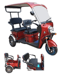 Pushpak Motors- Pusphak 5000S Two-Person Electric Scooter