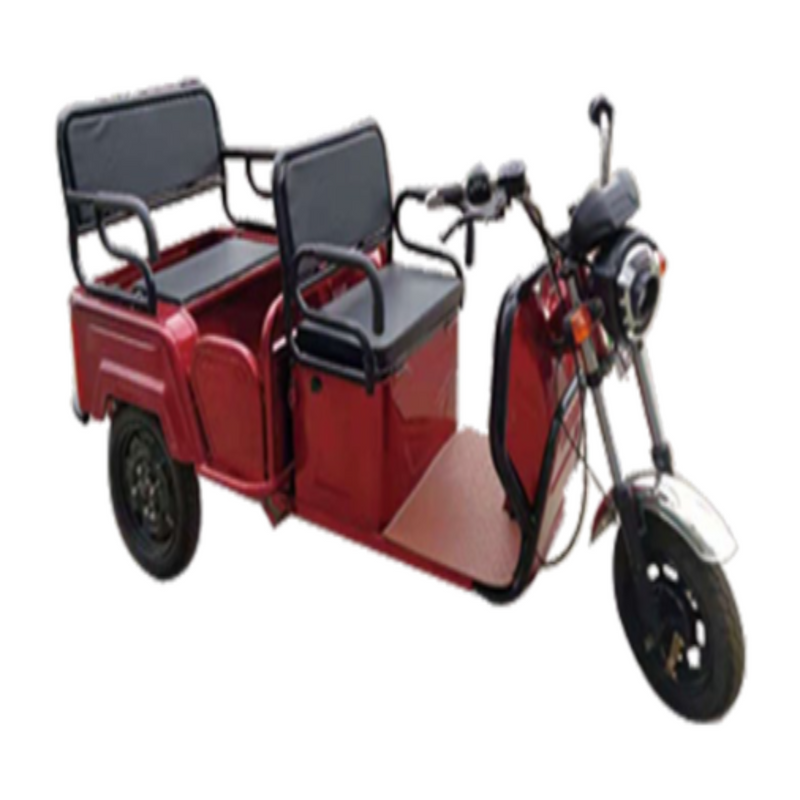Pushpak Motors- Pushpak 6000 Two-Person Electric Scooter