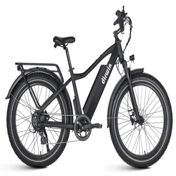 Dirwin Seeker Fat Tire Electric Bike