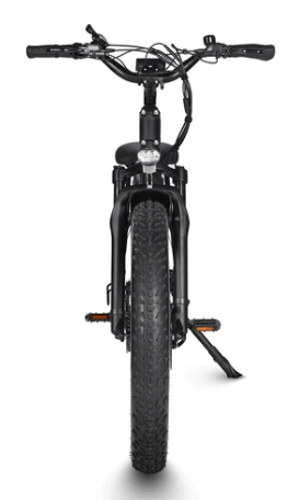 Dirwin Seeker Fat Tire Electric Bike