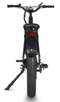 Dirwin Seeker Fat Tire Electric Bike