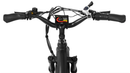 Dirwin Seeker Fat Tire Electric Bike