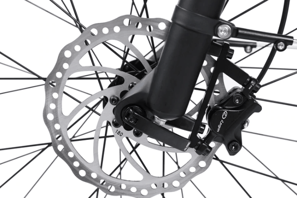 Dirwin Seeker Fat Tire Electric Bike