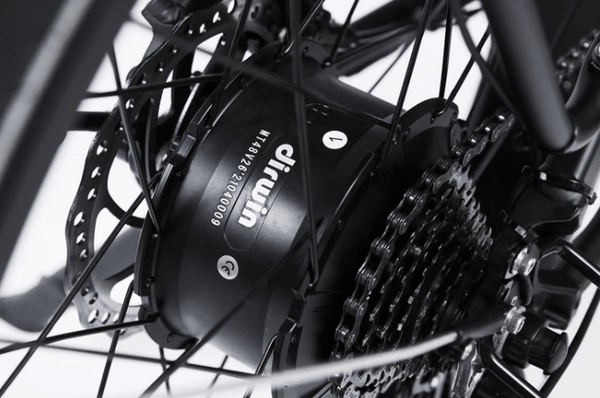 Dirwin Seeker Fat Tire Electric Bike