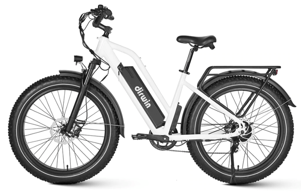 Dirwin Seeker Step-thru Fat Tire Electric Bike