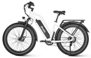 Dirwin Seeker Step-thru Fat Tire Electric Bike