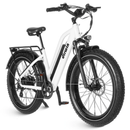 Dirwin Seeker Step-thru Fat Tire Electric Bike