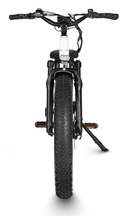 Dirwin Seeker Step-thru Fat Tire Electric Bike