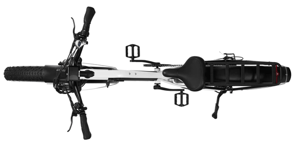 Dirwin Seeker Step-thru Fat Tire Electric Bike