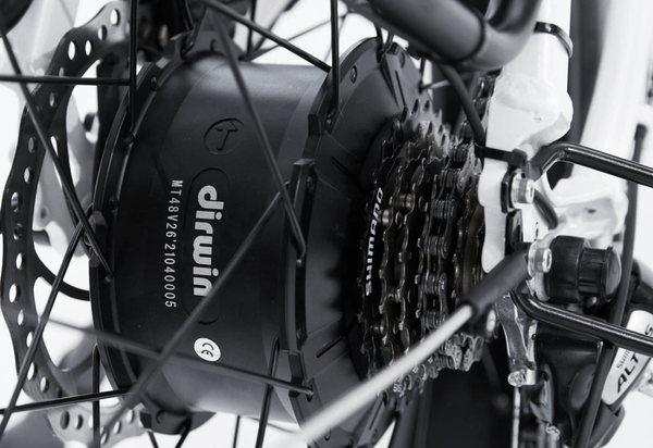 Dirwin Seeker Step-thru Fat Tire Electric Bike