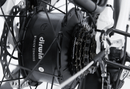 Dirwin Seeker Step-thru Fat Tire Electric Bike