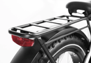 Dirwin Seeker Step-thru Fat Tire Electric Bike