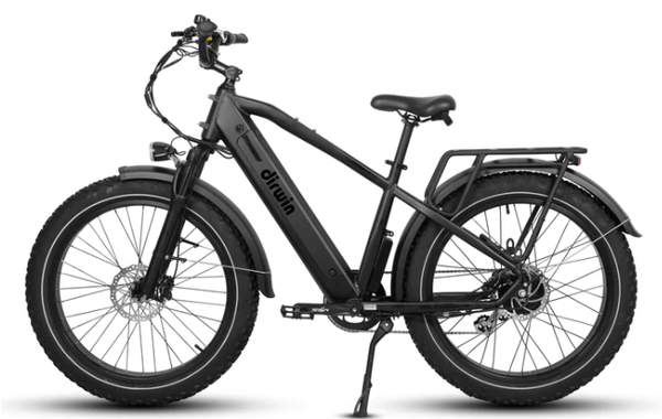 Dirwin Pioneer Fat Tire Electric Bike