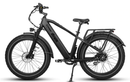 Dirwin Pioneer Fat Tire Electric Bike