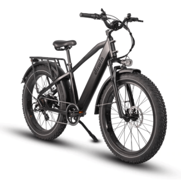 Dirwin Pioneer Fat Tire Electric Bike