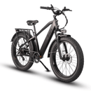 Dirwin Pioneer Fat Tire Electric Bike