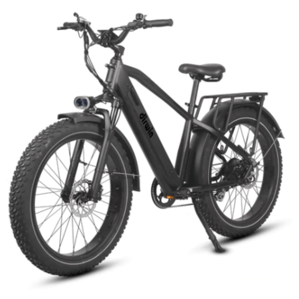 Dirwin Pioneer Fat Tire Electric Bike