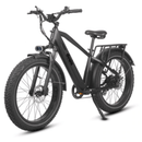 Dirwin Pioneer Fat Tire Electric Bike