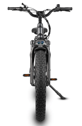 Dirwin Pioneer Fat Tire Electric Bike