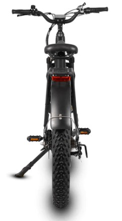 Dirwin Pioneer Fat Tire Electric Bike