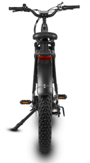 Dirwin Pioneer Fat Tire Electric Bike