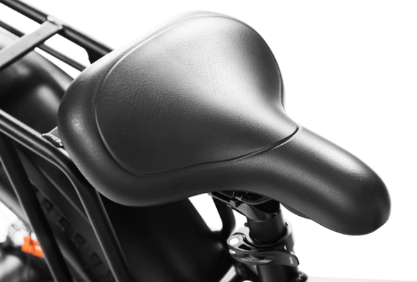 Dirwin Pioneer Fat Tire Electric Bike