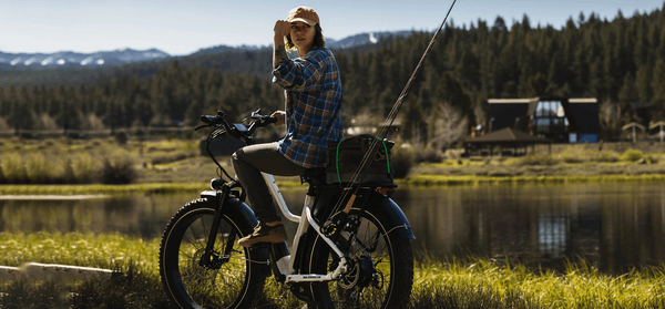 Dirwin Pioneer Step-thru Fat Tire Electric Bike
