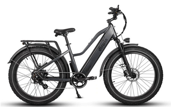 Dirwin Pioneer Step-thru Fat Tire Electric Bike