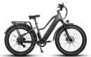Dirwin Pioneer Step-thru Fat Tire Electric Bike
