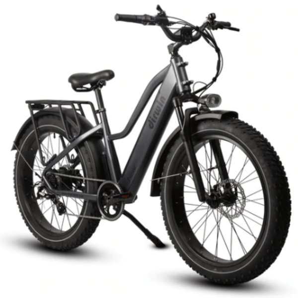 Dirwin Pioneer Step-thru Fat Tire Electric Bike