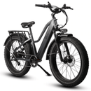 Dirwin Pioneer Step-thru Fat Tire Electric Bike