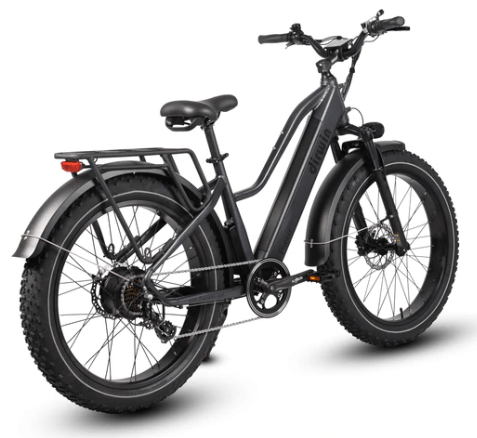 Dirwin Pioneer Step-thru Fat Tire Electric Bike