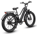 Dirwin Pioneer Step-thru Fat Tire Electric Bike