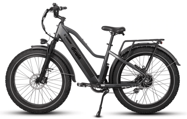 Dirwin Pioneer Step-thru Fat Tire Electric Bike