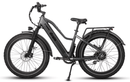 Dirwin Pioneer Step-thru Fat Tire Electric Bike