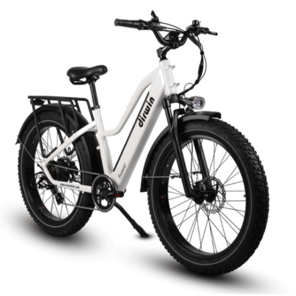 Dirwin Pioneer Step-thru Fat Tire Electric Bike