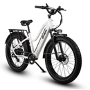 Dirwin Pioneer Step-thru Fat Tire Electric Bike