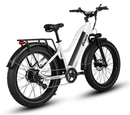 Dirwin Pioneer Step-thru Fat Tire Electric Bike