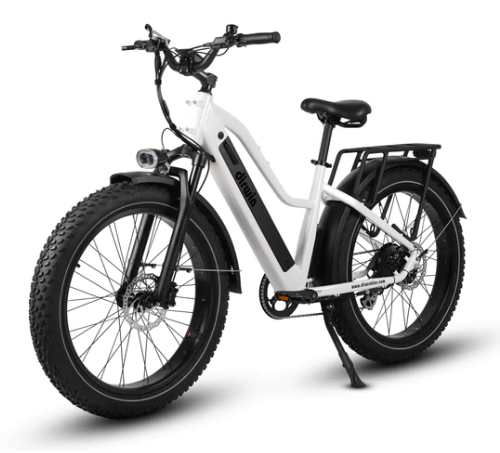 Dirwin Pioneer Step-thru Fat Tire Electric Bike