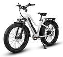 Dirwin Pioneer Step-thru Fat Tire Electric Bike