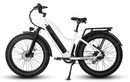 Dirwin Pioneer Step-thru Fat Tire Electric Bike