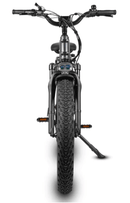 Dirwin Pioneer Step-thru Fat Tire Electric Bike