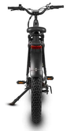 Dirwin Pioneer Step-thru Fat Tire Electric Bike