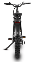 Dirwin Pioneer Step-thru Fat Tire Electric Bike