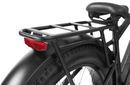 Dirwin Pioneer Step-thru Fat Tire Electric Bike