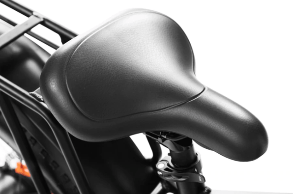 Dirwin Pioneer Step-thru Fat Tire Electric Bike