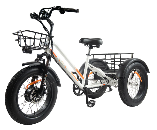 DWMEIGI Electric Fat Tricycle MG1703