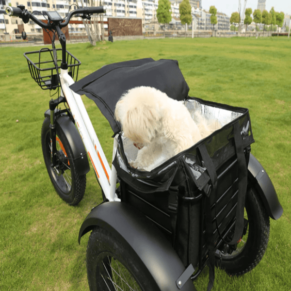 DWMEIGI Electric Fat Tricycle MG1703